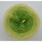 Preview: Lady Dee's Kiwi küsst Limette - 3fädig