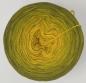 Preview: Melody des Lebens - 250g - ca. 900m - Merino/Dralon