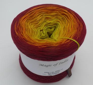 Preview: Lady Dee's Magic of India