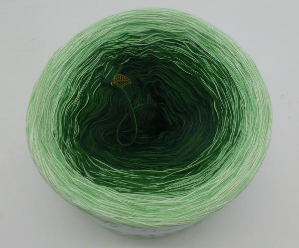 Lady Dee's Evergreen (A17)